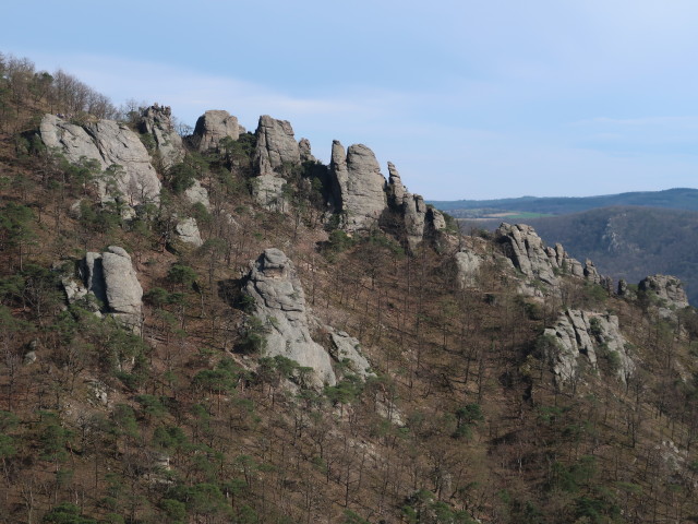 vom Vogelbergsteig Richtung Osten