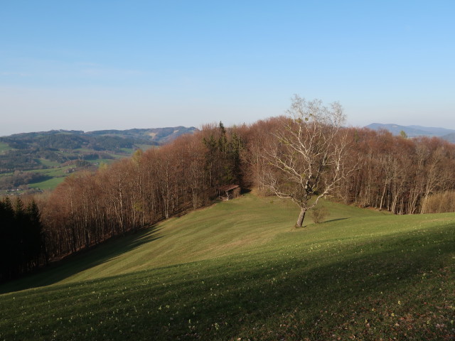 zwischen Staff und Staffh&uuml;tte
