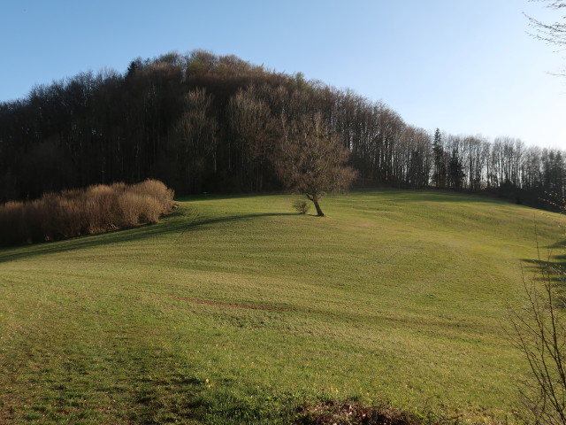 zwischen Staff und Staffh&uuml;tte