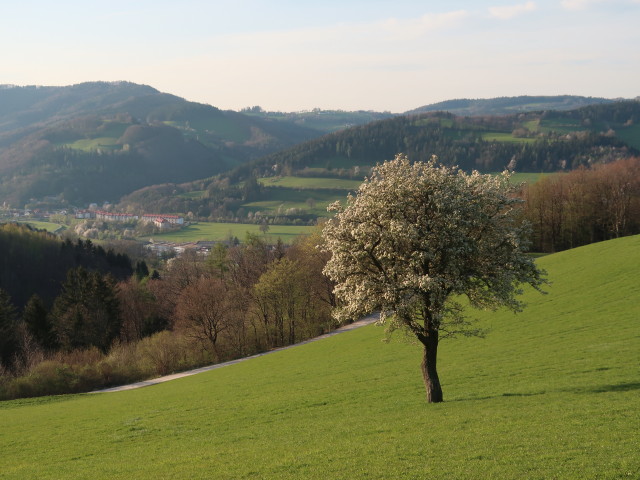 zwischen Staffhütte und Fußthaler