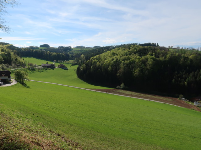 zwischen Pitten und Burg Grimmenstein