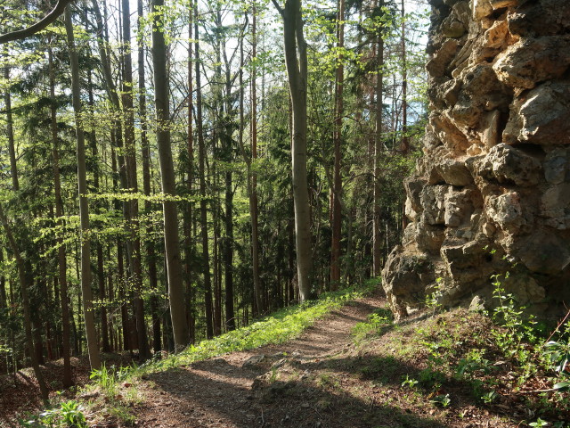 Kulmriegel, 758 m