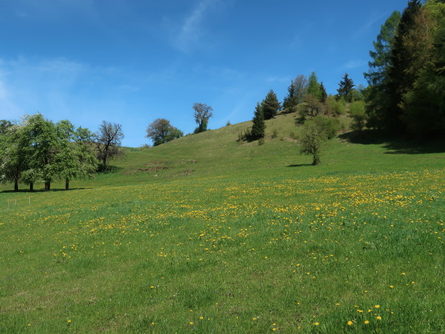 vom Gasthof Rabensteiner Richtung Nordosten