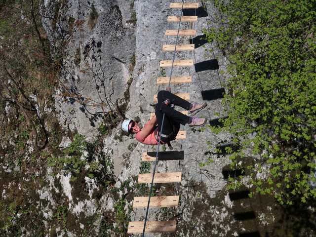 Ruine Rabenstein-Klettersteig: Larissa auf der Nepalbrücke