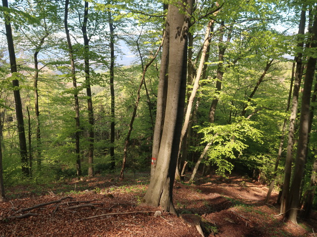 zwischen Weißegger und Kasparstein