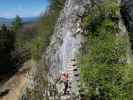 Ruine Rabenstein-Klettersteig: Larissa auf der Nepalbrücke