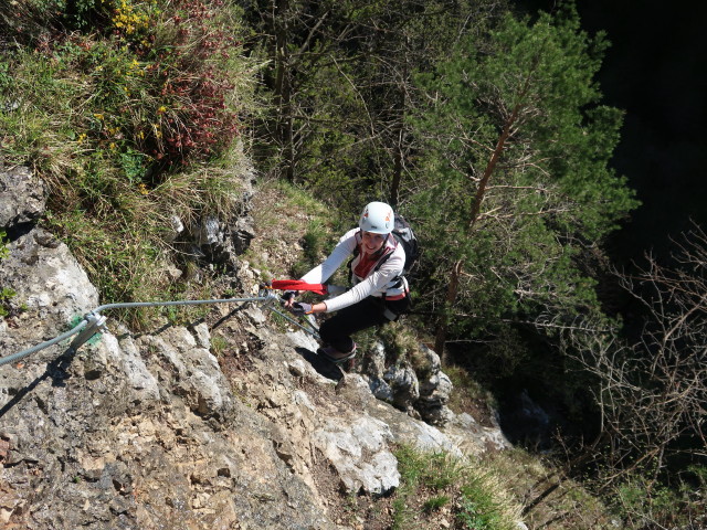 Türkenschanze-Klettersteig: Larissa