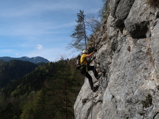 Türkenschanze-Klettersteig: David