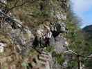 Türkenschanze-Klettersteig: Larissa auf der Nepalbrücke