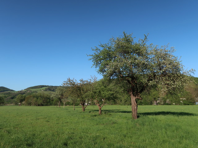 zwischen Grimmenstein und Petersbaumgarten