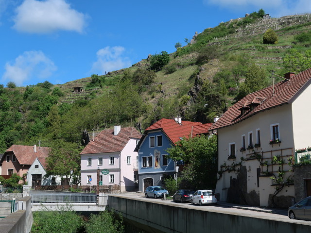 Auf der Wehr in Spitz