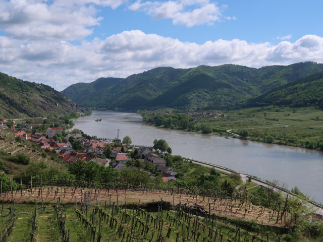 Donau von der Ruine Hinterhaus aus