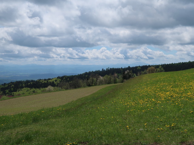 zwischen Benking und Jauerling