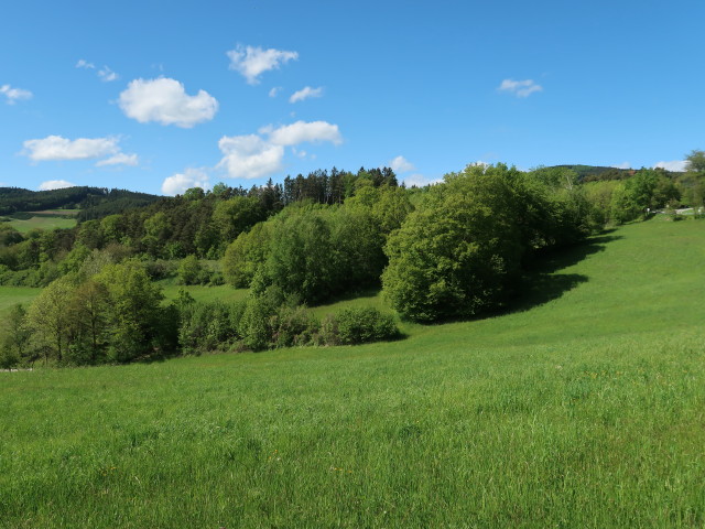 zwischen Maria Laach am Jauerling und Felbring