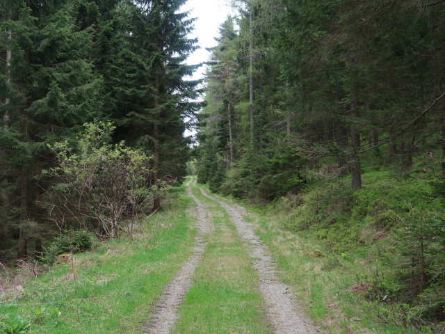 zwischen Mönichkirchen und Pinka