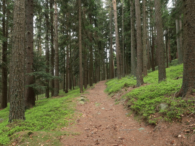 zwischen Mönichkirchen und Pinka