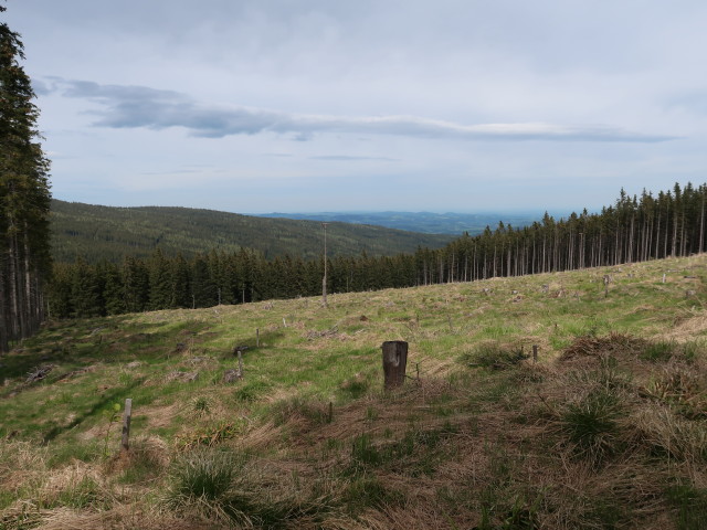 zwischen Pinka und Irrbühel