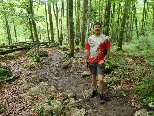 Ronald zwischen Sonnsteinhütte und Siegesbach