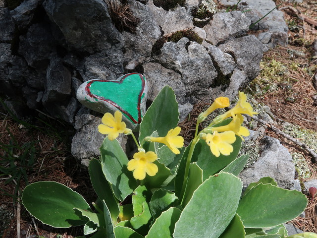 Mittagskofel, 1.426 m