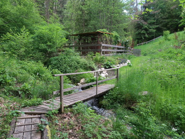 zwischen Tauern-Autobahn und Töplitsch