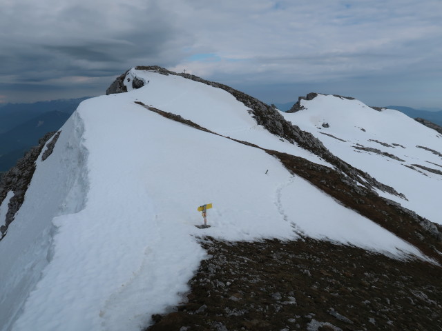 zwischen Großem Buchstein und Südwandband-Klettersteig (5. Juni)