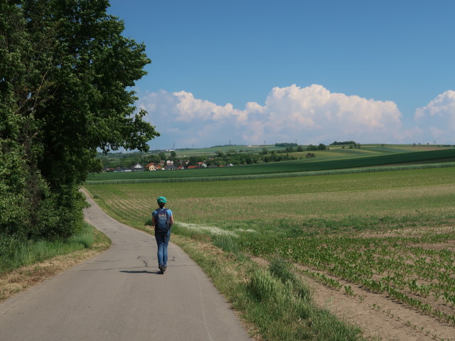 Sabine zwischen Bullendorf und Prinzendorf