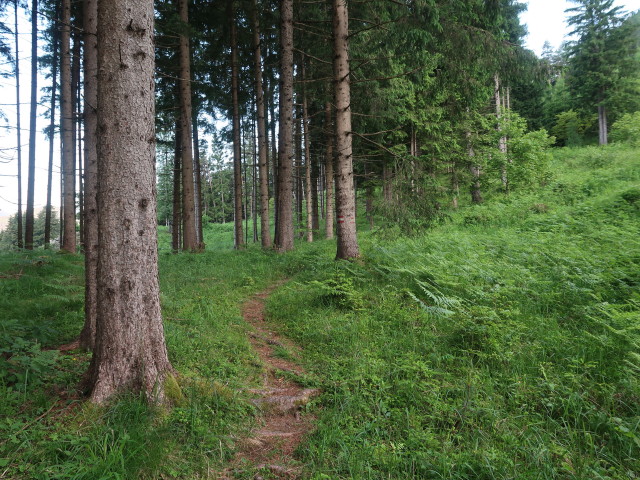 zwischen Puch und Zauchengraben