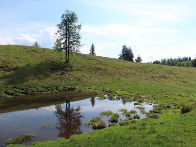 zwischen Schwarzsee und Palnock