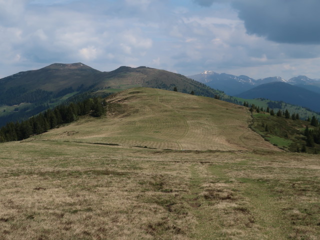 Tragenwinkler Alm