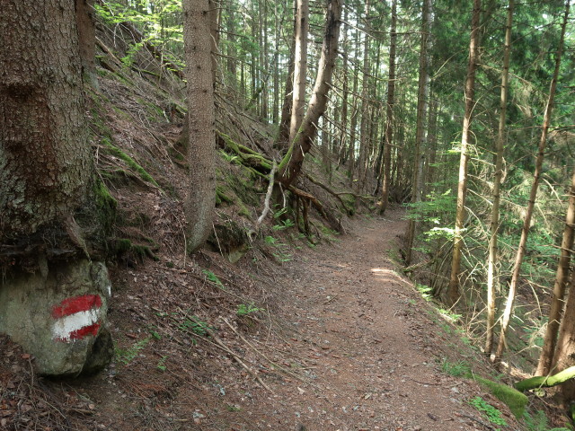 zwischen Enzibodenhütte und Enzhauserhütte