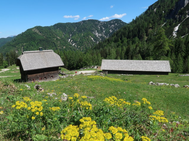 Kühweger Alm, 1.480 m