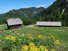 Kühweger Alm, 1.480 m