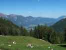 zwischen Kühweger Alm und Schwarzwipfel