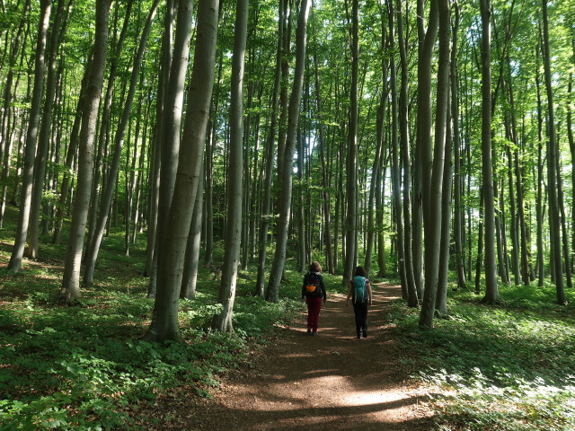 Hannelore und Sabine zwischen Holzschlag und Couloir-Stiege