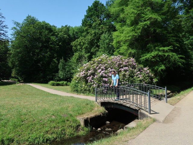 Sabine im Schlosspark Ludwigslust (20. Juni)