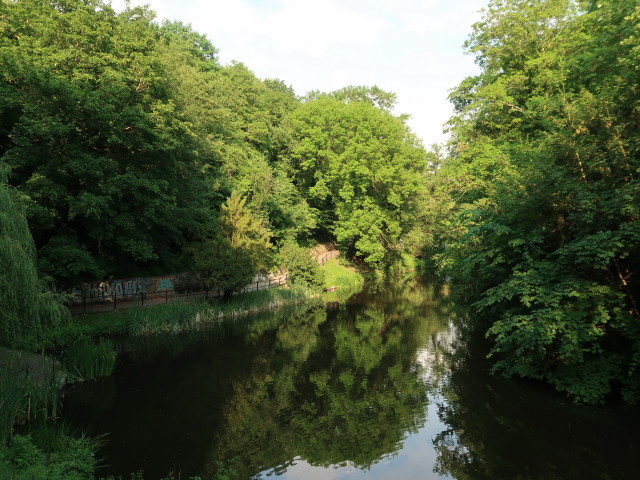 Wallanlagen in Rostock (21. Juni)