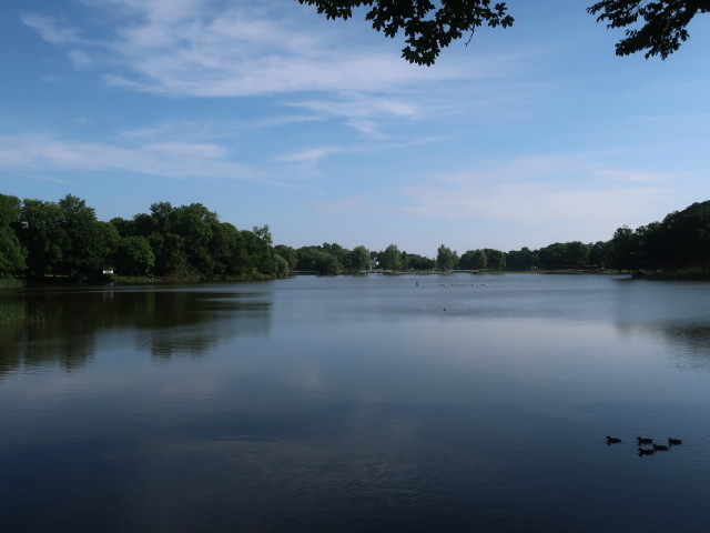 Knieperteich in Stralsund (23. Juni)