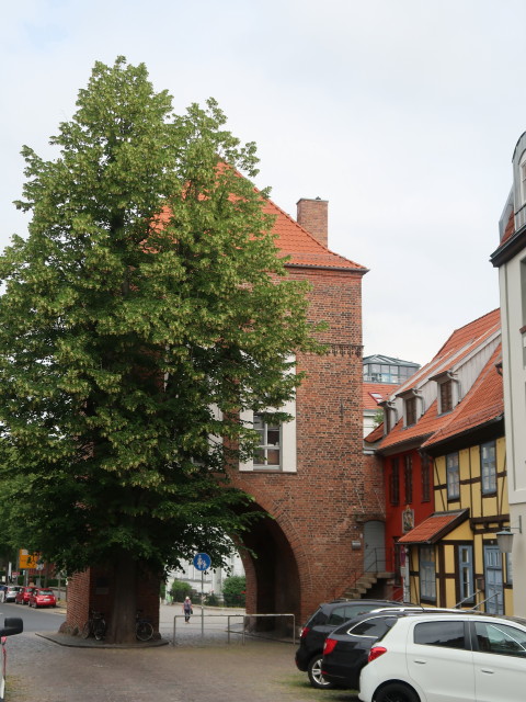 Kniepertor in Stralsund (23. Juni)