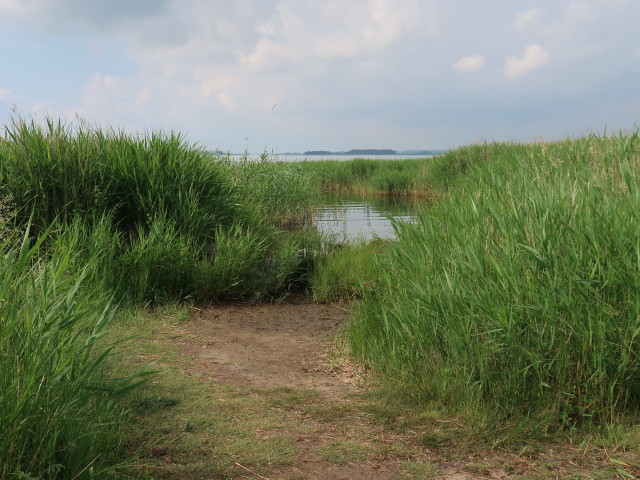 Achterwasser (25. Juni)