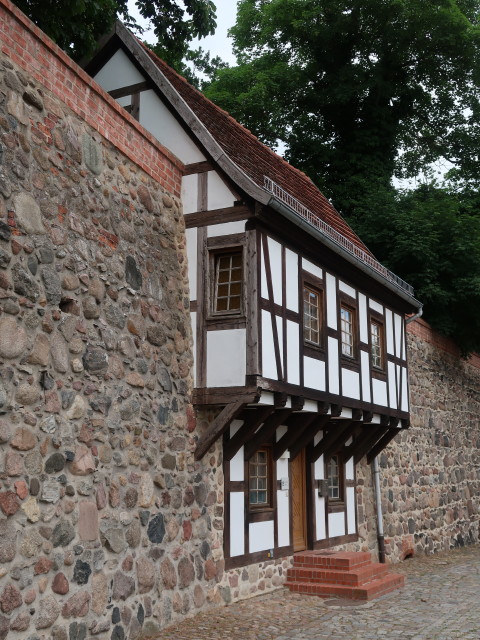 Stadtmauer Neubrandenburg (25. Juni)