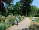 Sabine im Schlosspark Ludwigslust (20. Juni)