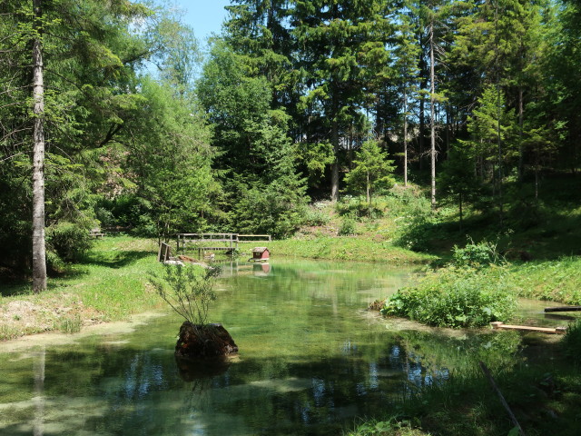 Weidenbrünnl, 835 m