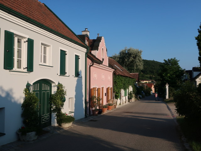 Sabine in der Heiligensteinstraße in Zöbing