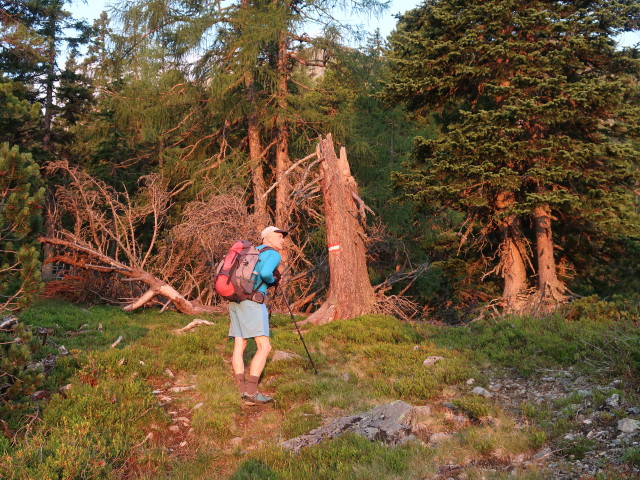 Herbert zwischen Hochreichart-Schutzhaus und Brandstätterkar (24. Juli)