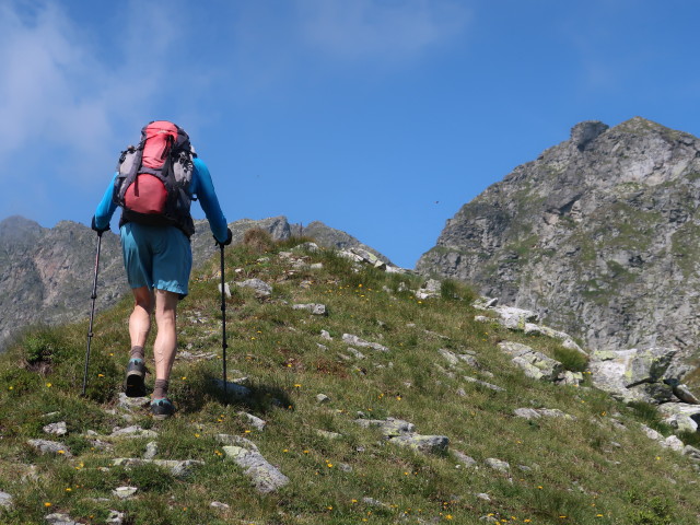 Herbert zwischen Weißsattel und Grieskogel (24. Juli)
