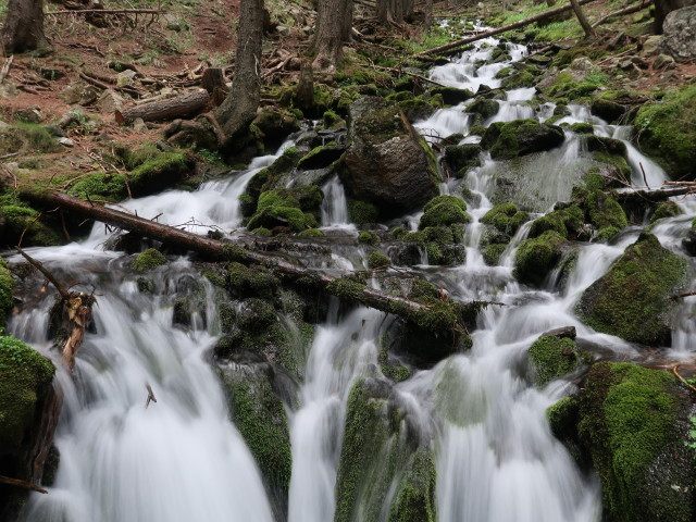 zwischen Saurücken und Ingeringsee (24. Juli)