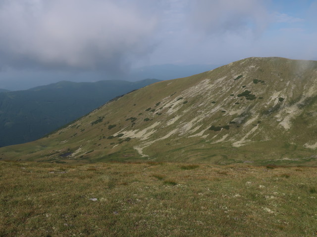 Ochsenalm (25. Juli)