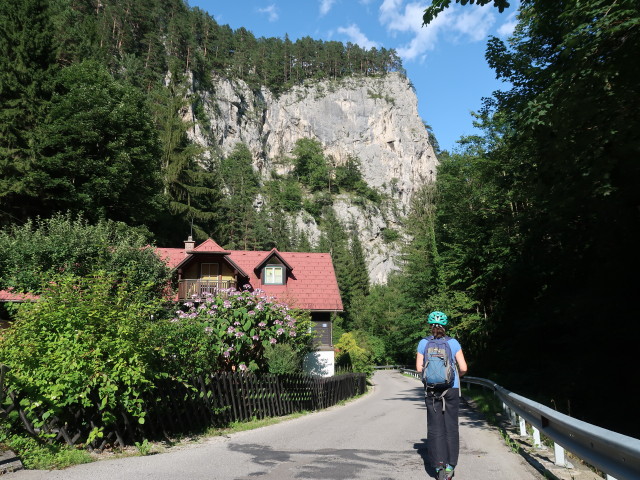 Sabine im Adlitzgraben