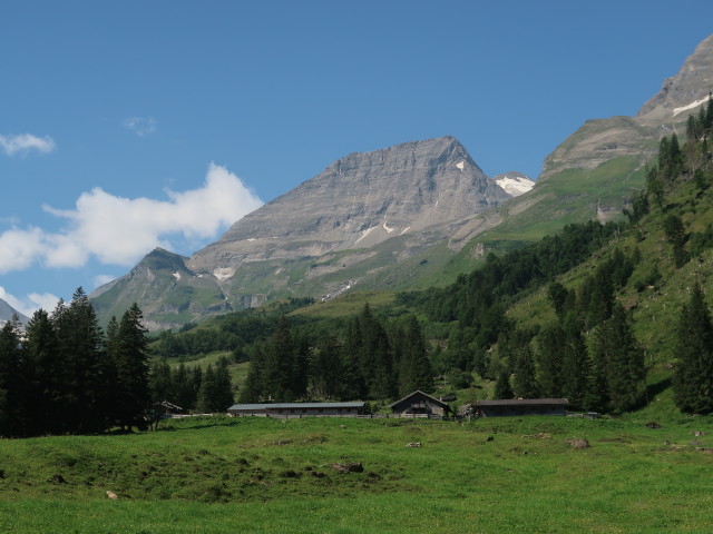 V&ouml;gerlalm, 1.270 m (14. Aug.)