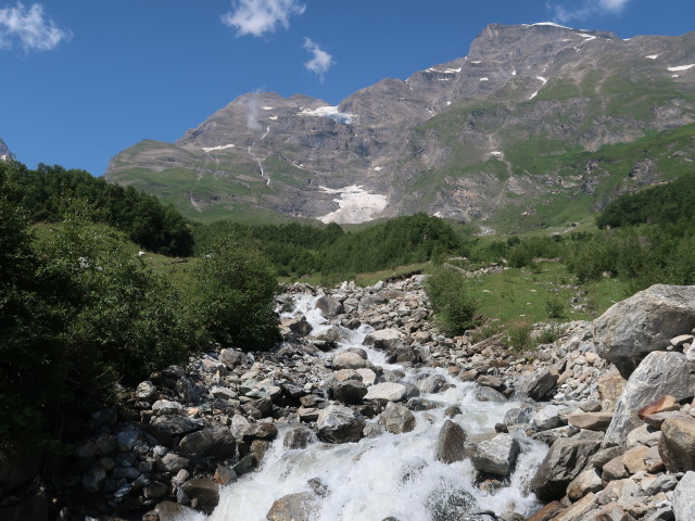 Gro&szlig;es Wiesbachhorn vom Stangenhagriedl aus (14. Aug.)